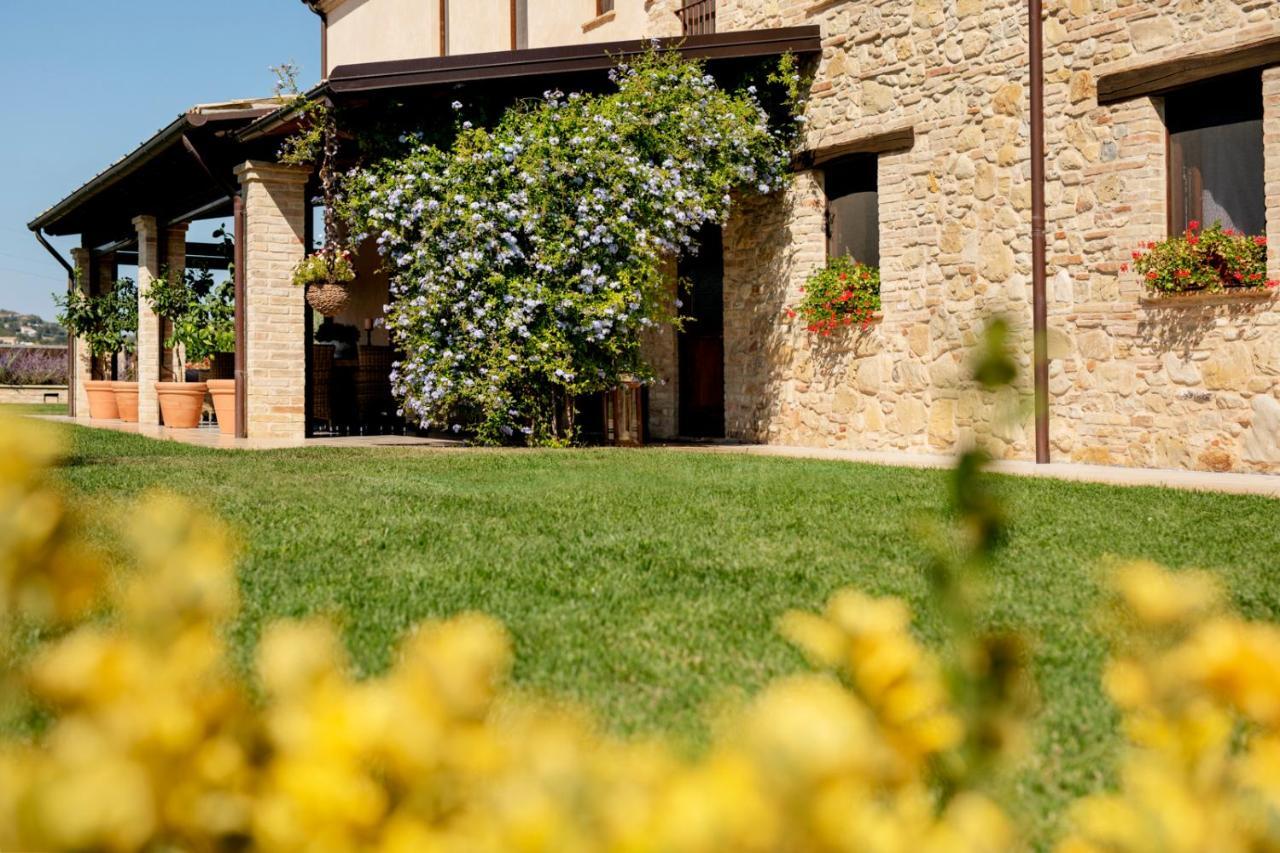 Agrirelais Collelago Massignano エクステリア 写真