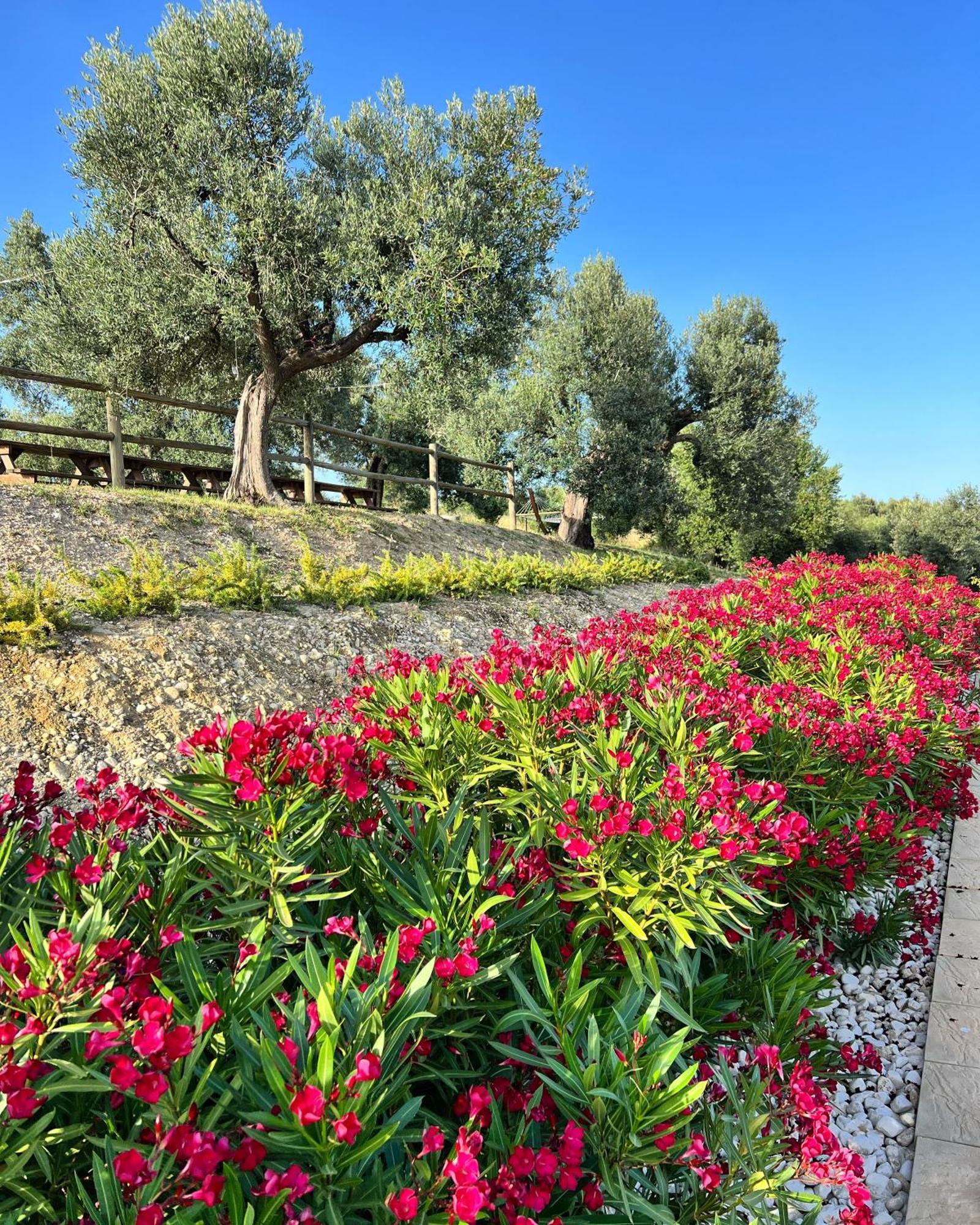 Agrirelais Collelago Massignano エクステリア 写真